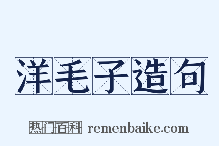 洋毛子造句是什么意思的图片